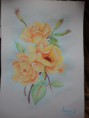 rose gialle